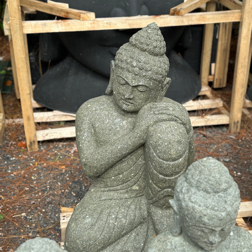Volcanic Rock Resting  Budha